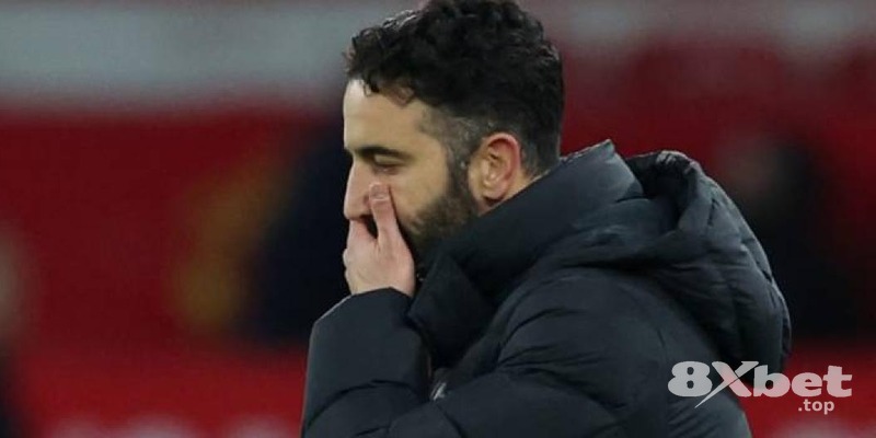 8xbet - so sánh mu88